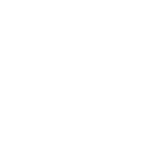 2013